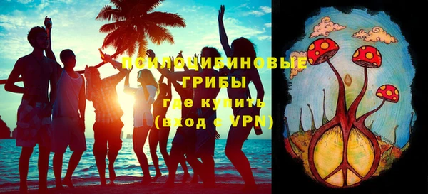 тгк Верея