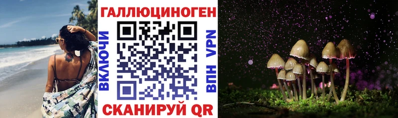 Псилоцибиновые грибы мицелий  наркота  Шумерля 